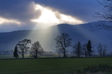 Güneşin güzel bir manzarası kalın bulutların arasından doğuyor, ağaçları, çayırları ve dağları aydınlatıyor..