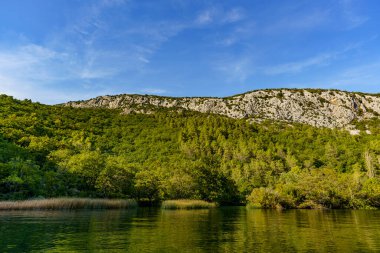 Sakin bir nehrin yüzeyinden kayalık kıyılarına doğru bir manzara.