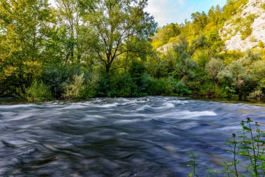 Yoğun bitki ve ağaçların arasına gizlenmiş sakin bir nehrin güzel manzarası