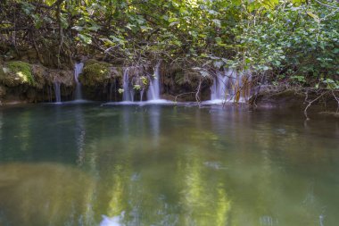 Yoğun bir ormanda akan sayısız ve uçsuz bucaksız nehirlerin güzel manzarası.