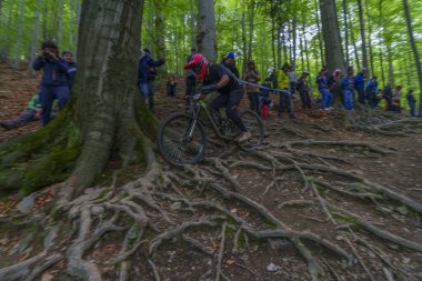Bielsko-Biala, Polska, 05.16.2025, Puchar Swiata UCI Dağ Bisiklet Dünya Serisi