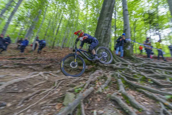 Bielsko-Biala, Polska, 05.16.2025, Puchar Swiata UCI Dağ Bisiklet Dünya Serisi