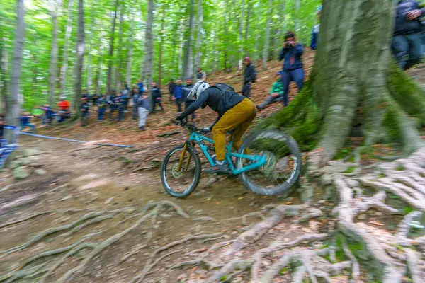 Bielsko-Biala, Polska, 05.16.2025, Puchar Swiata UCI Dağ Bisiklet Dünya Serisi