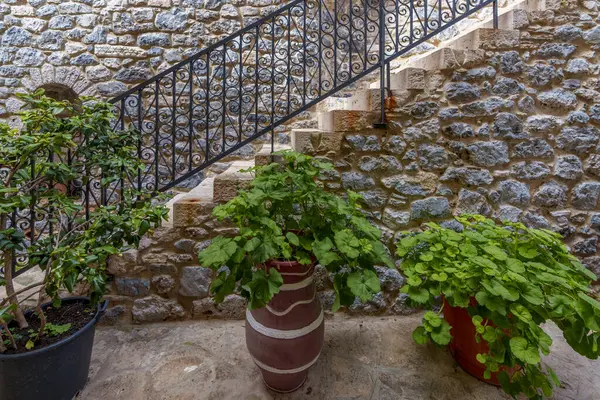 Çimenli saksı bitkileri taş duvar ve basamaklarda.