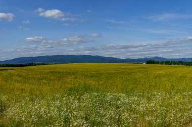 Yeşil bir çayırın manzarası ön planda ekili bir tarla, ufukta uzak dağ sıraları ve dramatik bulutlar..