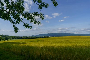 Tarlaları ekilmiş ve uzak dağları olan huzurlu bir çayır, dramatik bulutlu gökyüzünün altında, yapraklarla kısmen çerçevelenmiş ağaç dalları..