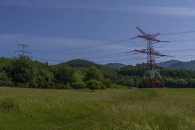 Açık mavi gökyüzünün altındaki yeşil çayır üzerinde çoklu kırmızı ve beyaz iletim kuleleri.