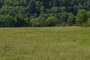 Ön planda geniş bir çayırda yoğun bir orman ve arka planda görünen eski bir metal köprü var..