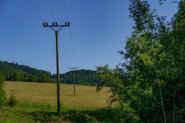 Yeşil çayırlar boyunca uzanan beton elektrik direkleri ve uzaktan görülebilen orman dağları..