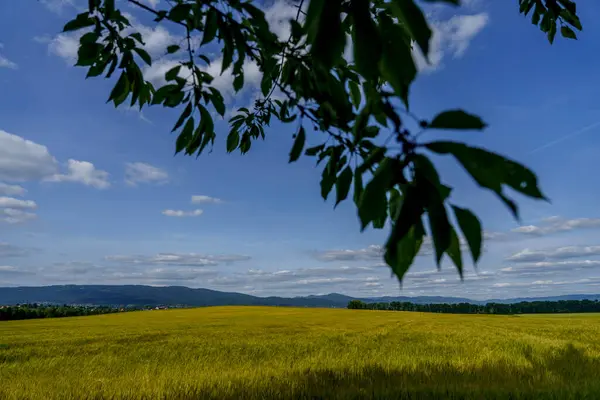 Tarlaları ekilmiş ve uzak dağları olan huzurlu bir çayır, dramatik bulutlu gökyüzünün altında, yapraklarla kısmen çerçevelenmiş ağaç dalları..