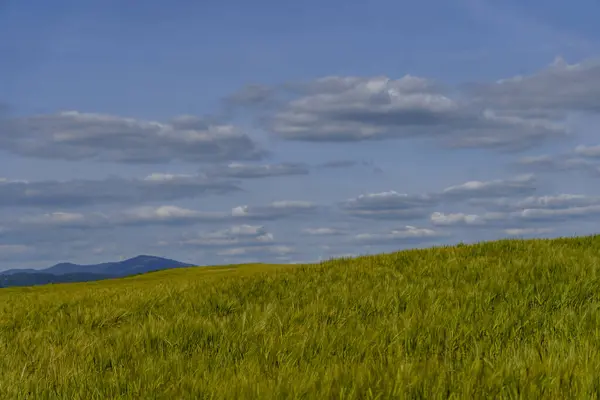 Yeşil bir çayırın manzarası ön planda ekili bir tarla, ufukta uzak dağ sıraları ve dramatik bulutlar..