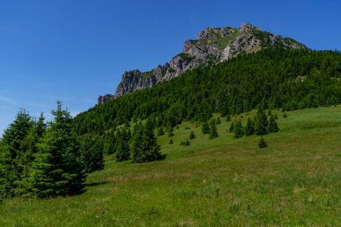 Velky Rozsutec zirvesi olan dağ manzarası, Mala Fatra, Slovakya 'da çayırlar, ormanlar ve mavi gökyüzü ile çevrili..
