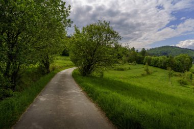 Dolambaçlı asfalt bir yol, her iki tarafında ağaçlar, uzak dağlar ve bulutlu gökyüzü olan yemyeşil bir çayır boyunca kıvrılır..