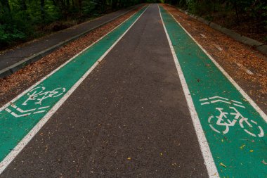 Two parallel green-painted cycling lanes run through a forest, flanked by fallen autumn leaves and surrounded by lush trees.