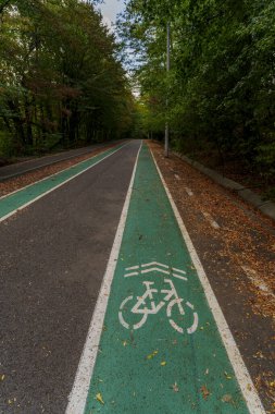 A long green-painted bicycle lane with bike symbols stretches straight into a forest, covered in autumn leaves, surrounded by trees and a separate road.