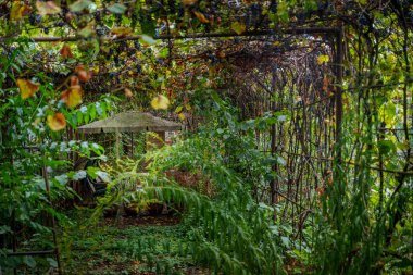 A lush, overgrown garden path shaded by dense greenery and a vine-covered metal trellis, leading to a secluded sitting area with a table and bench.