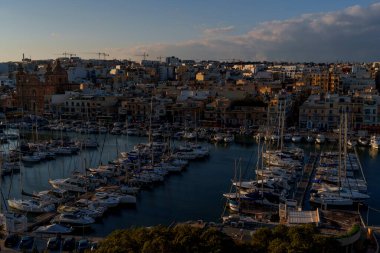 Aerial-style view of sheltered marina packed with sailboats, framed by urban skyline and warm evening light.