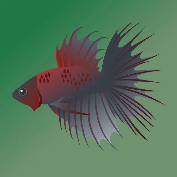 Yeşil arkaplanı olan bir beta balığının çizimi