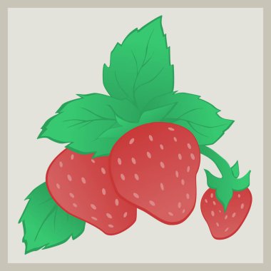 illustration of three strawberries with stalks in the background