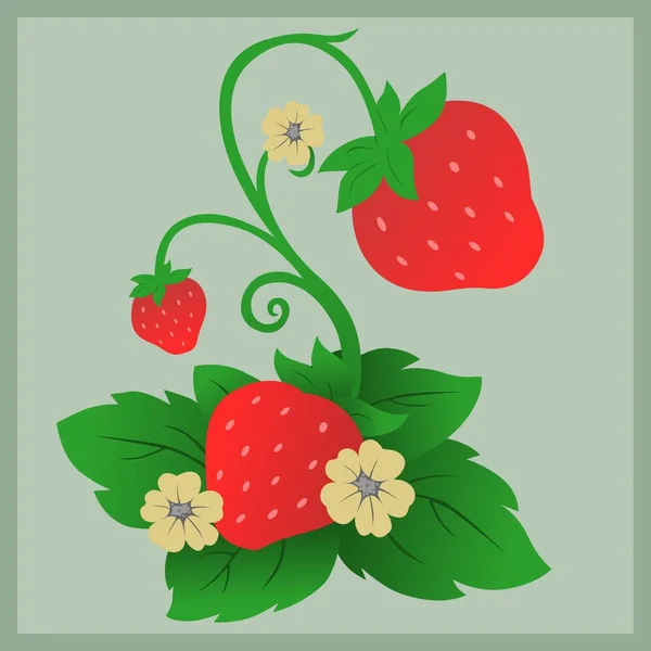 illustration of three strawberries with stalks in the background