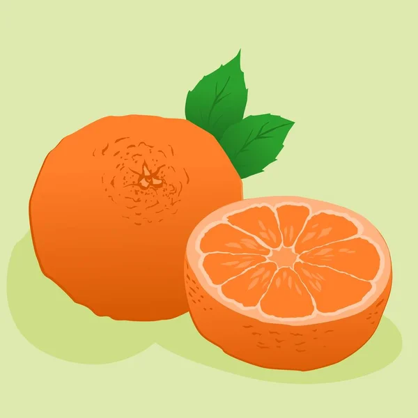 illustration of two fresh oranges