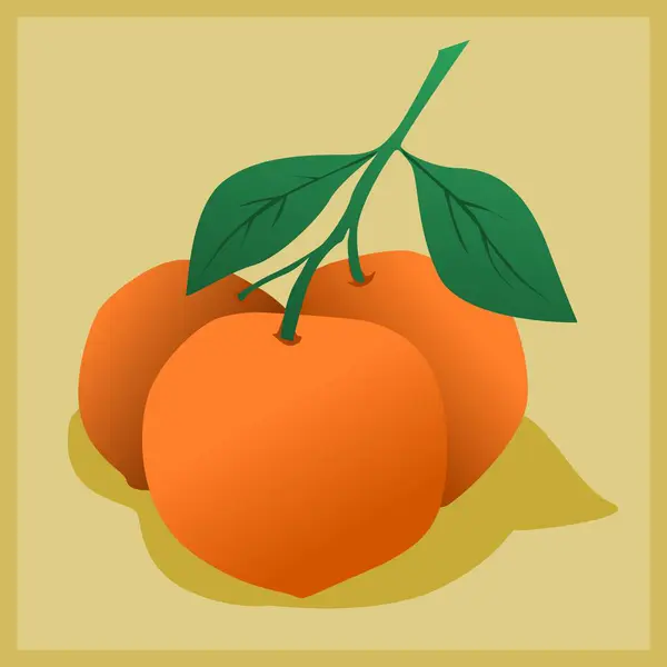 Saplı 3 portakalın basit bir çizimi