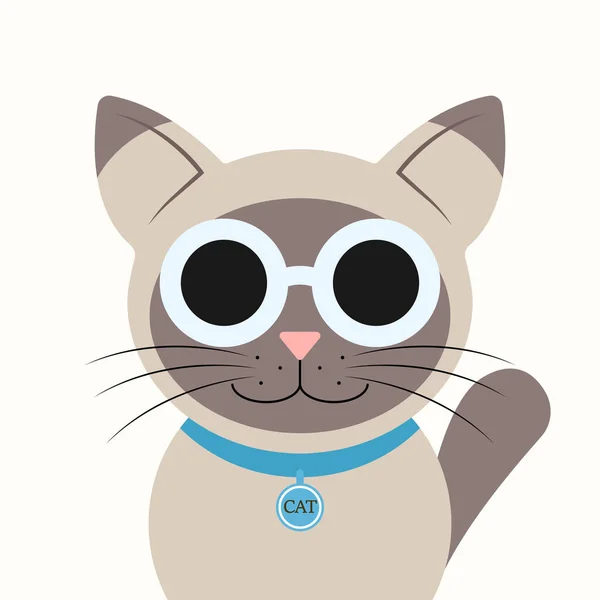 Gözlüklü mutlu kedi