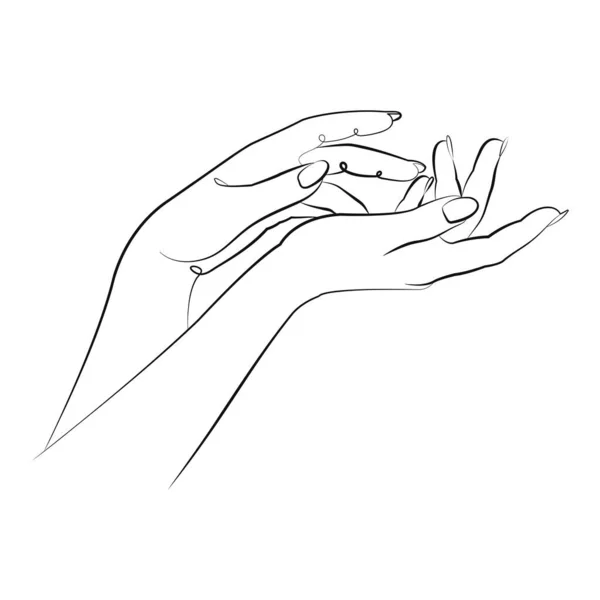 Gentle Female Hands Line Art One Line Drawing Stylish Illustration — Stock Vector