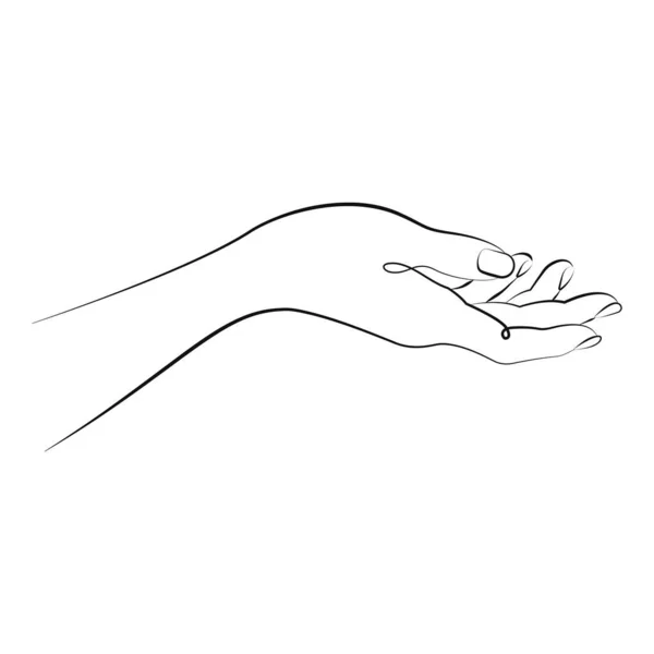 ปาล วเม ลปะเส การวาดเส นเด ภาพประกอบท นสม — ภาพเวกเตอร์สต็อก