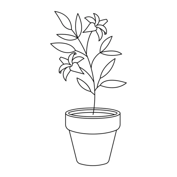 Plante Maison Dans Pot Illustration Vectorielle — Image vectorielle