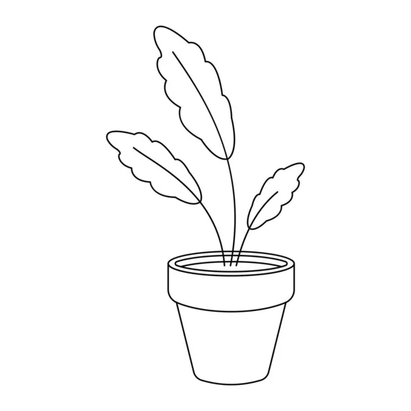 Heimpflanze Topf Vektorillustration — Stockvektor