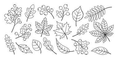 El çizimi sonbahar yaprakları, çizgi sanatı tarzı