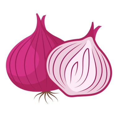 Beyaz Arkaplanda Tüm Soğan ve Dilimlenmiş El Çizimi İllüstrasyonu