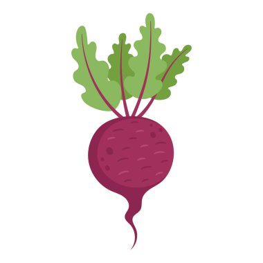 Beyaz Arkaplanda Yeşil Yaprak Elli Pancar Kökü