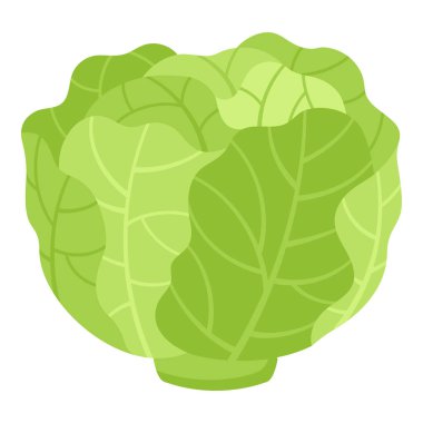 Beyaz Arkaplanda Yeşil Lahana Elle Çizilmiş