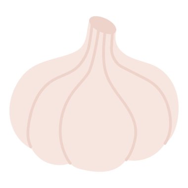 Sarımsak Ampulü Beyaz Arkaplanda Elle Çizilmiş