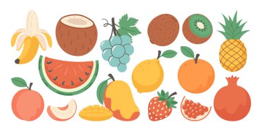 Beyaz arka planda çeşitli meyve ve böğürtlen çizimleri. Karpuz, muz, nar.