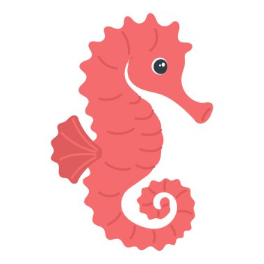 Deniz atı mı? Beyaz arkaplanda izole