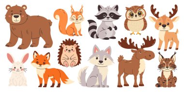 Bir grup orman hayvanı. Vahşi orman yaratıklarının düz vektör görüntülerinin toplanması, beyaz arka planda el çizimi. Tilki, ayı, kurt, vaşak