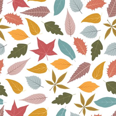 Çiçeksiz Yüzeysel Şablon sonbahar renk yaprakları içerir. Sweetgum, Aspen, Elm; Holly vs. Yaprak. Beyaz arkaplan üzerine düşen yapraklar. 