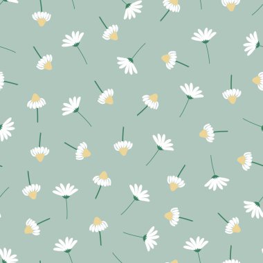 Çimenlik papatyaların yaygın, pürüzsüz yüzey desenli tasarımı. Opal arkaplan üzerinde küçük İngiliz papatya çiçeklerinin çiçek desenli allover baskısı. 