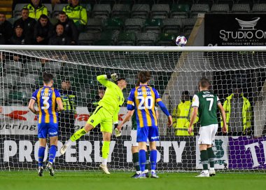 Plymouth Argyle kalecisi Michael Cooper (1), 25 Ekim 202 'de Home Park, Plymouth, İngiltere' de oynanan Sky Bet 1 maçında top çapraz demire çarptığında Plymouth Argyle ile Shrewsbury Town maçına bakıyor.
