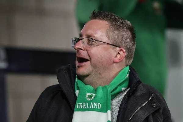 Fan Irlanda Con Una Bufanda Puesta Durante Copa Mundial Rugby —  Fotos de Stock