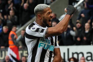 Newcastle 7 numaralı Joelinton Premier Lig maçı Newcastle United ile Aston Villa maçında 29 Ekim 202 'de St. James' s Park, Newcastle, İngiltere 'de 3-0' lık skorla gol attı.