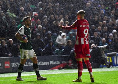 Plymouth Argyle orta saha oyuncusu Joe Edwards (8) ve Exeter City forveti Jay Stansfield (9) 31 Ekim 202 'de Home Park, Plymouth, İngiltere' de oynanan Sky Bet 1 karşılaşmasında tartıştılar.