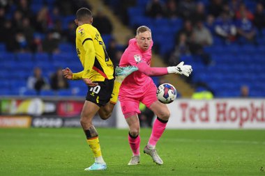 Cardiff City 'den Ryan Allsop # 1, Cardiff Stadyumu' nda Cardiff City - Watford maçında Watford 'dan Joo Pedro # 10' un baskısı altında Cardiff City - Watford maçı, 2 Kasım 2022