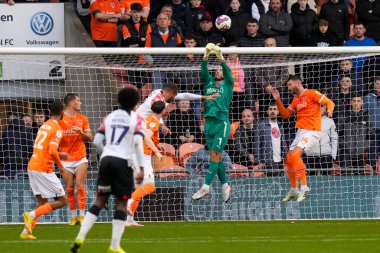 Blackpool 'dan Chris Maxwell, Blackpool Şampiyonası' nda Blackpool, Luton Town 'a karşı 5 Kasım 202' de Bloomfield Road, Blackpool 'da temiz yumruklar attı.