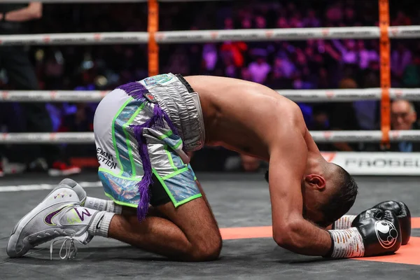 stock image Shabaz Masoud celebrates his win after the Jack Bateson vs Shabaz Masoud fight at the Sunny Edwards vs Felix Alvarado card at Utilita Arena, Sheffield, United Kingdom, 11th November 202