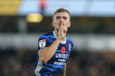 Middlesbrough 'dan Riley McGree 12 Kasım 202' de Norwich City, Norwich Road 'da Middlesbrough' a karşı oynanan Sky Bet Şampiyonası 'nda 1-1 kazanma hedefini kutluyor.