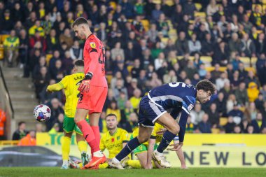 Middlesbrough 'dan Matt Crooks' un skorları Sky Bet Şampiyonası 'nda Norwich City, Norwich Road, Norwich, İngiltere' de 12 Kasım 202 'de oynanan Norwich City - Middlesbrough maçında 1-2 oldu.